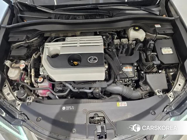 Lexus UX250h id 3315296 из Кореи 11