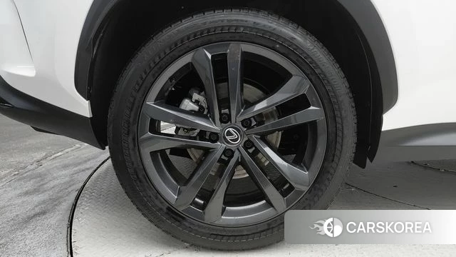 Lexus NX350h Second generation id 4302450 из Кореи 16
