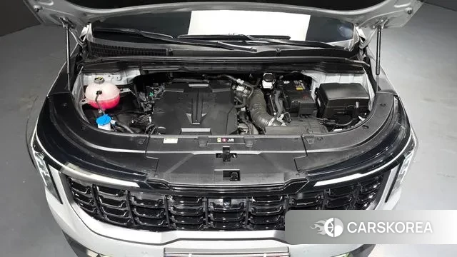 Kia The New Carnival 4th Generation id 3533545 из Кореи 16