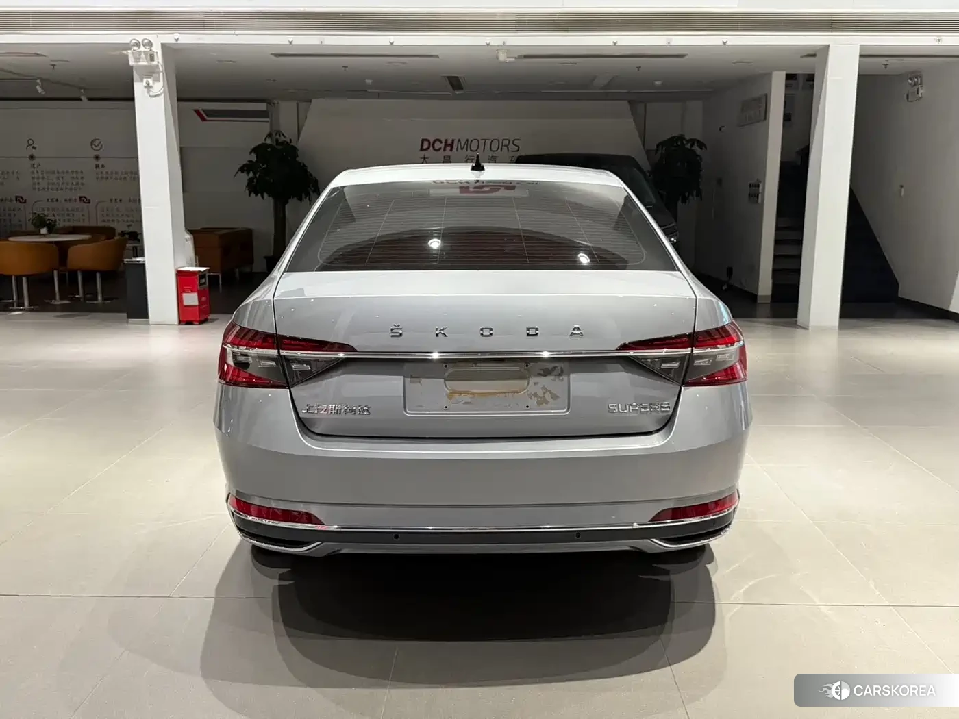 Skoda Speed pie id 4576264 из Китая 17