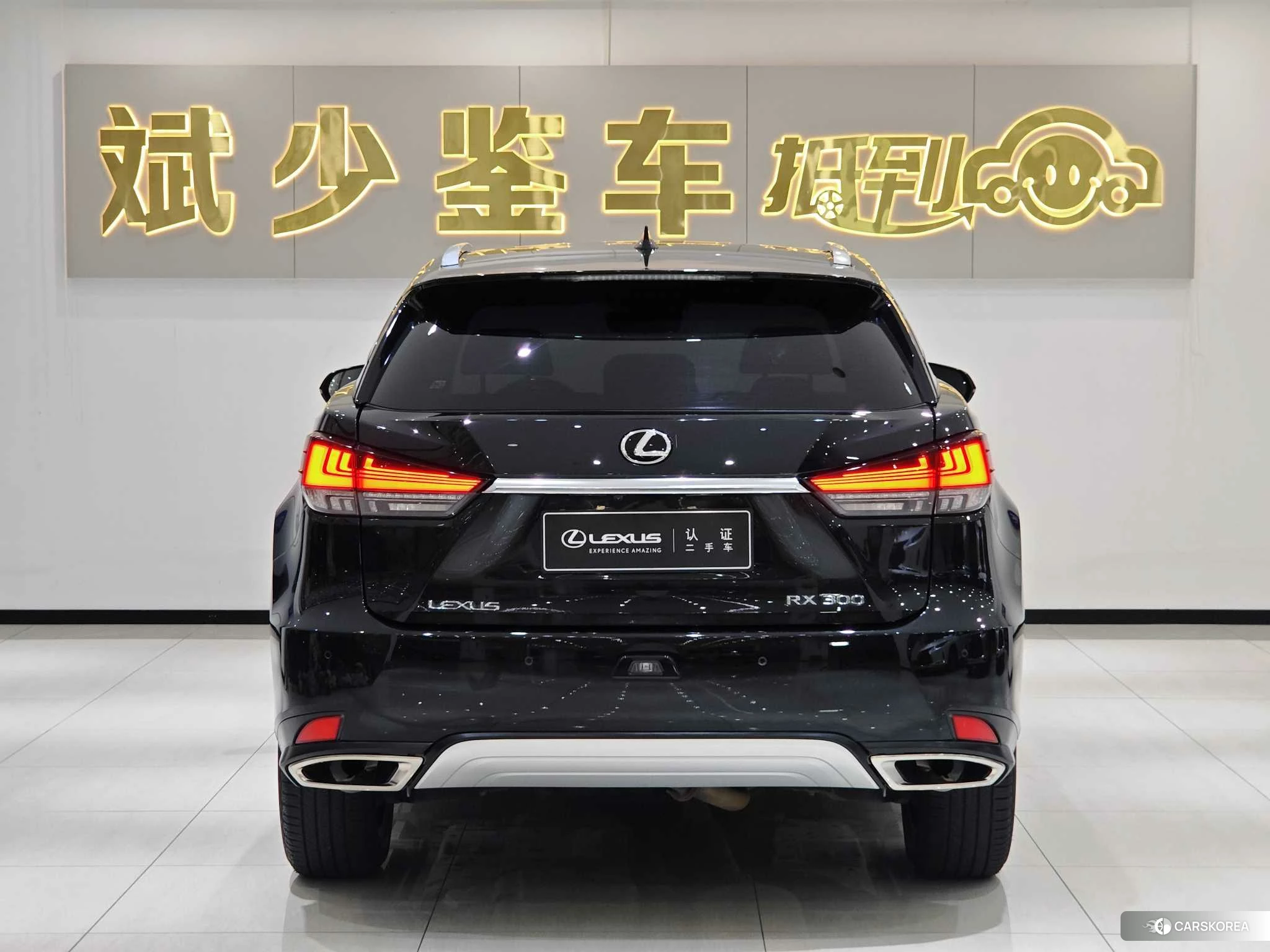 Lexus RX 2020 Черный из Китая, фото 6