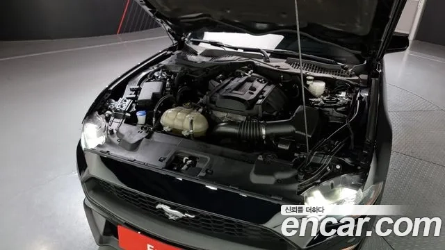 Ford Mustang id 2906258 из Кореи 16