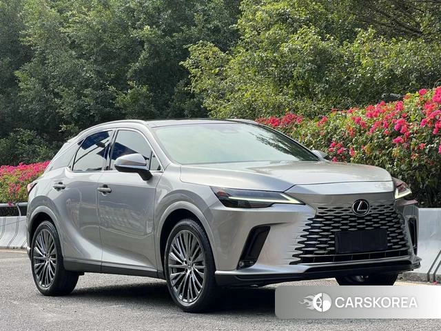 Lexus RX id 4291278 из Китая 13
