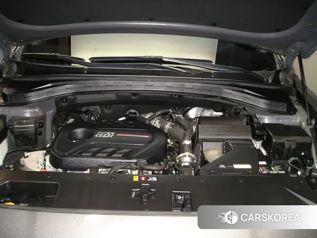 Hyundai Santa Fe TM id 3530765 из Кореи 16