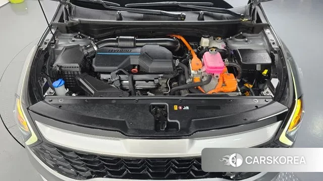 Kia Sportage 5th Generation Hybrid id 3378280 из Кореи 16