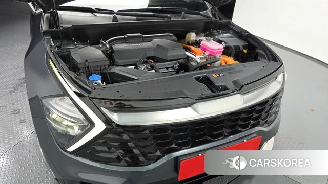Kia Sportage 5th Generation Hybrid id 4744112 из Кореи 16