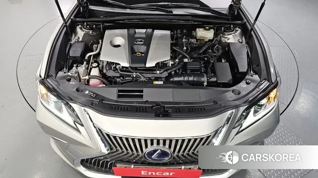 Lexus ES300h 7th generation id 3573284 из Кореи 16