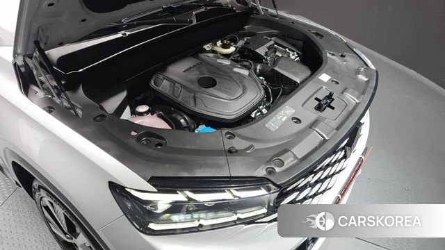 Renault Korea (Samsung) Grand Coleos id 3792797 из Кореи 16