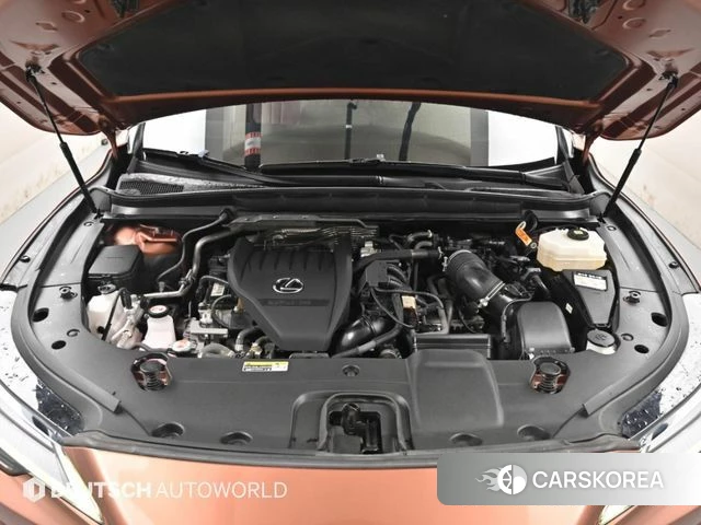 Lexus RX500h 5th generation id 4774130 из Кореи 16