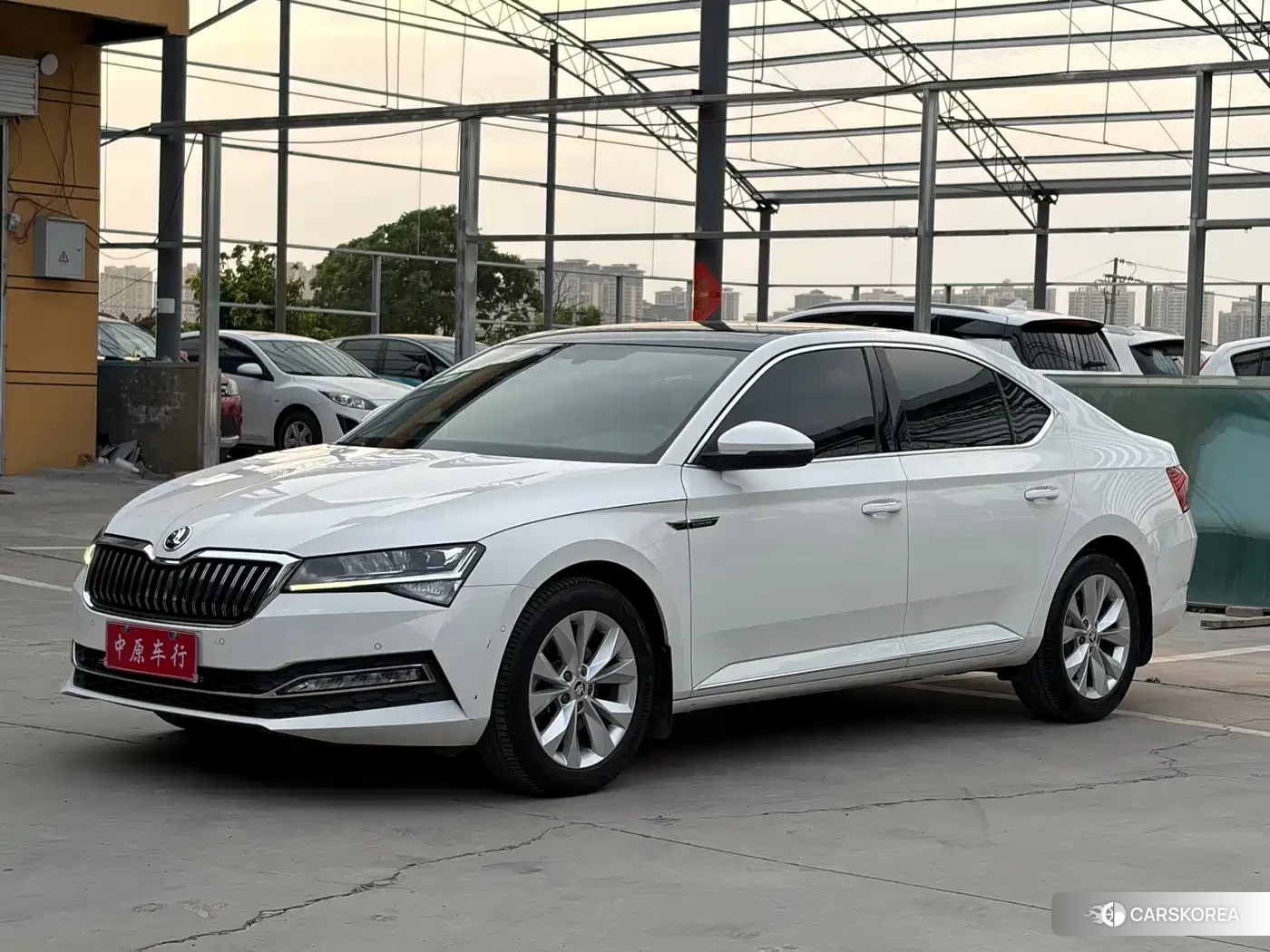 Skoda Speed pie id 4546078 из Китая 15