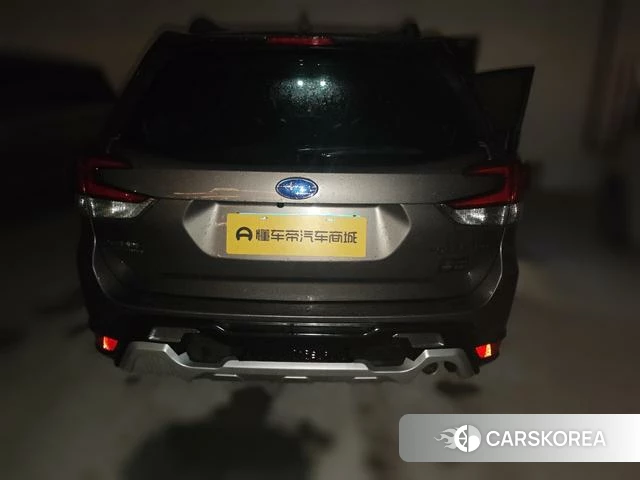 Subaru FORESTER Forester 2021 Коричневый из Китая, фото 6
