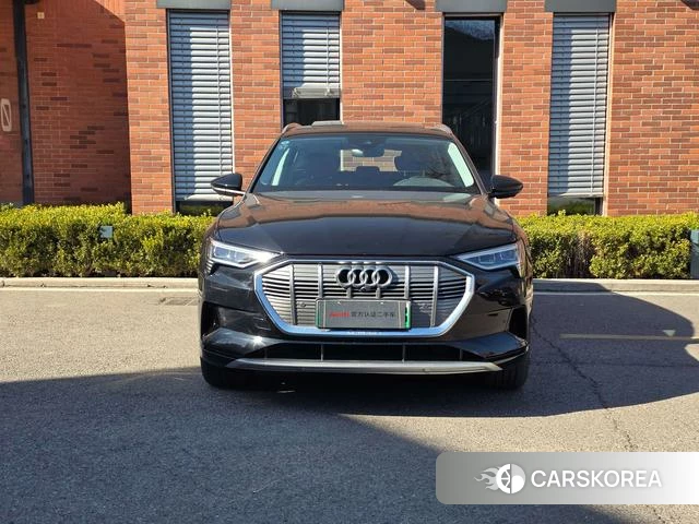 Audi e-tron (imported) id 4235052 из Китая 7