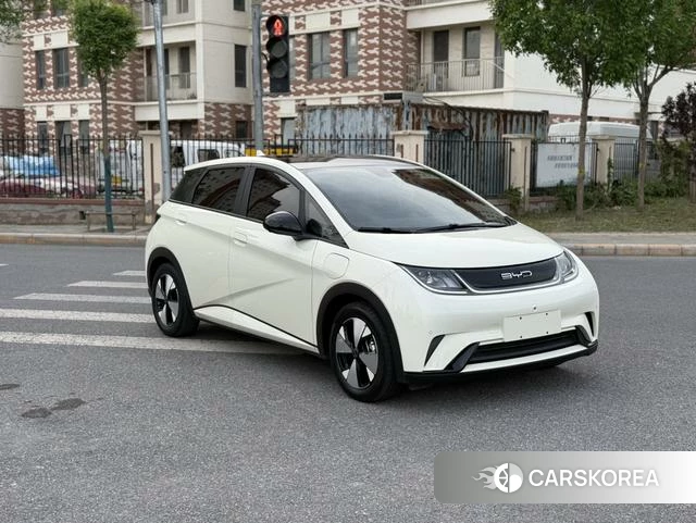 BYD dolphin id 4207077 из Китая 18