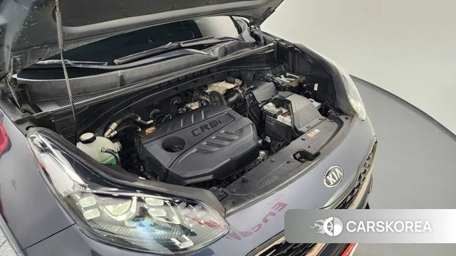 Kia Sportage The Bold id 3905642 из Кореи 16