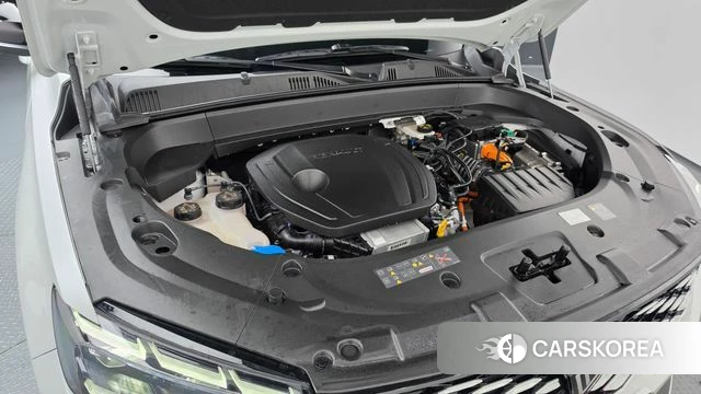 Renault Korea (Samsung) Grand Coleos id 4665009 из Кореи 16
