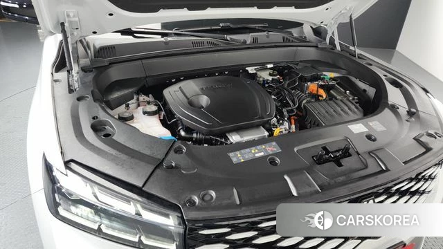 Renault Korea (Samsung) Grand Coleos id 3909328 из Кореи 16