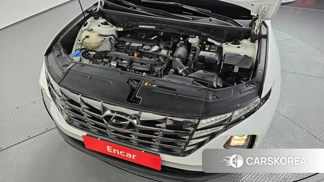 Hyundai Tucson (NX4) id 3935109 из Кореи 16