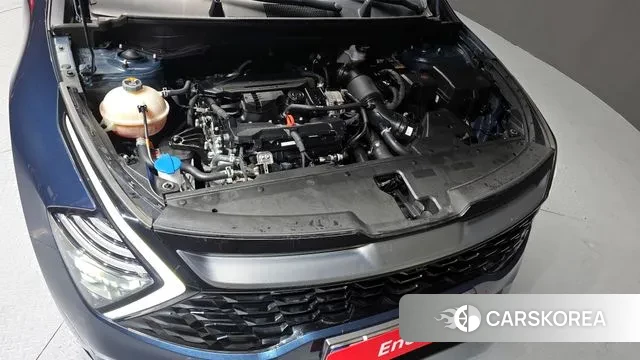 Kia Sportage 5th Generation id 3690673 из Кореи 16