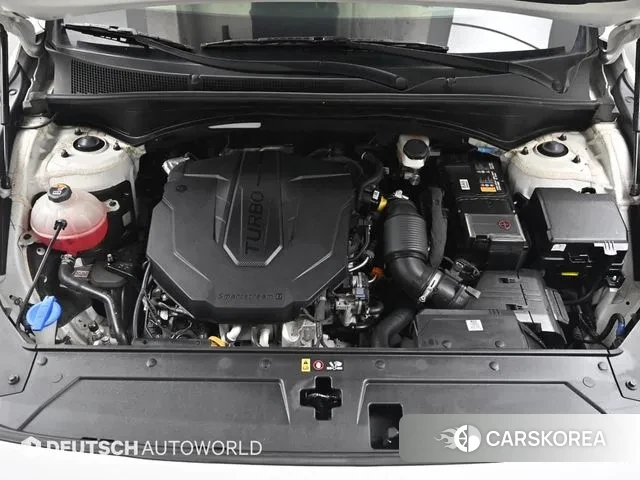 Hyundai The New Santa Fe id 3022715 из Кореи 16