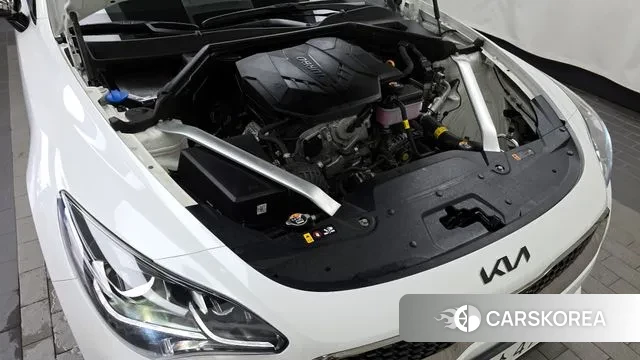 Kia Stinger Meister id 3037423 из Кореи 16