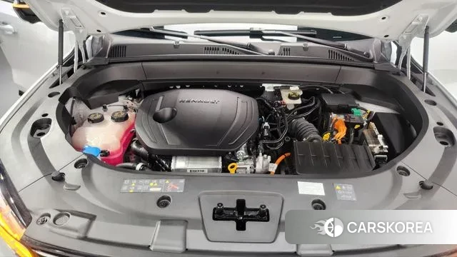 Renault Korea (Samsung) Grand Coleos id 3393674 из Кореи 16