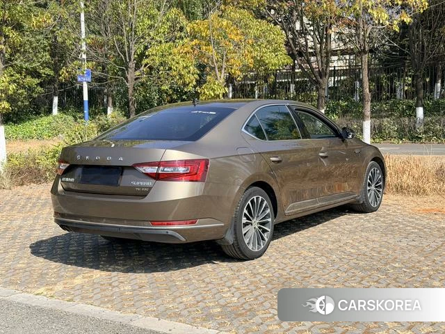 Skoda Speed pie id 3869879 из Китая 17