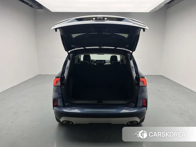 Ford Ruiji id 4215691 из Китая 16