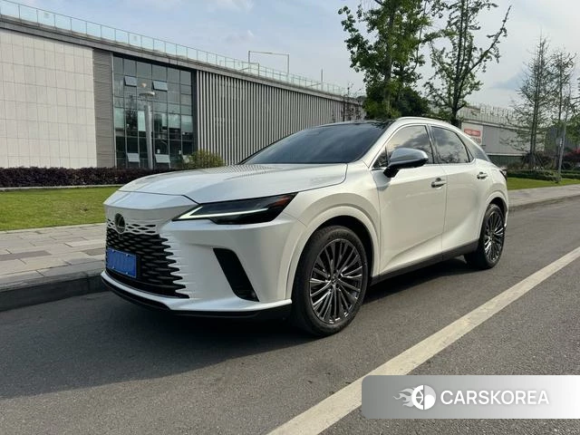 Lexus RX id 4262026 из Китая 11