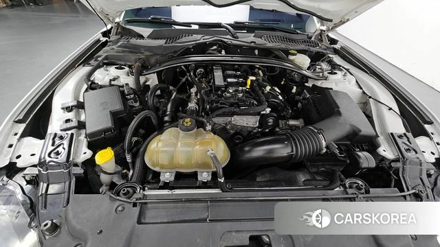 Ford Mustang id 3828674 из Кореи 16