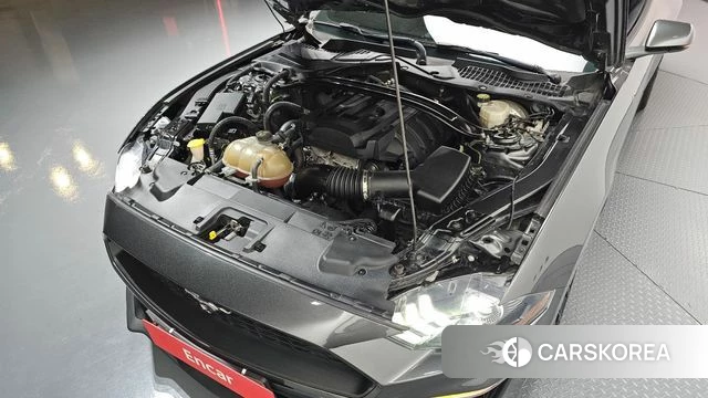 Ford Mustang id 3925022 из Кореи 16