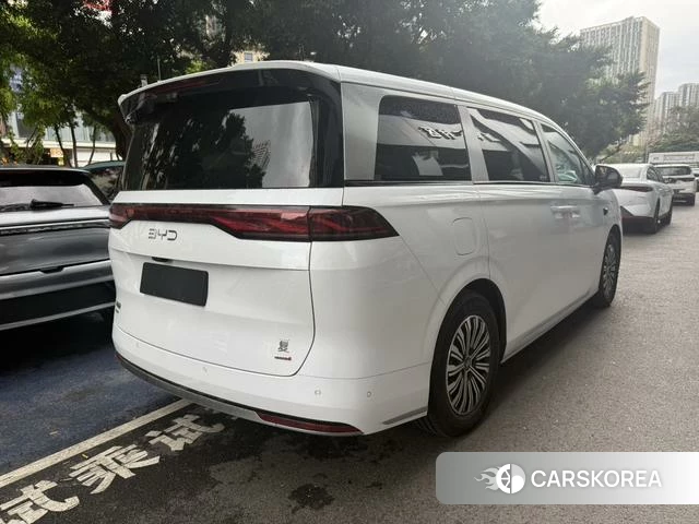 BYD summer id 4253707 из Китая 7