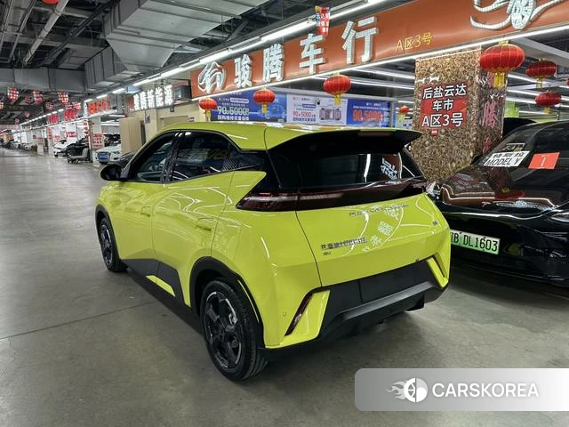 BYD Seagull 2023 Желтый из Китая, фото 6
