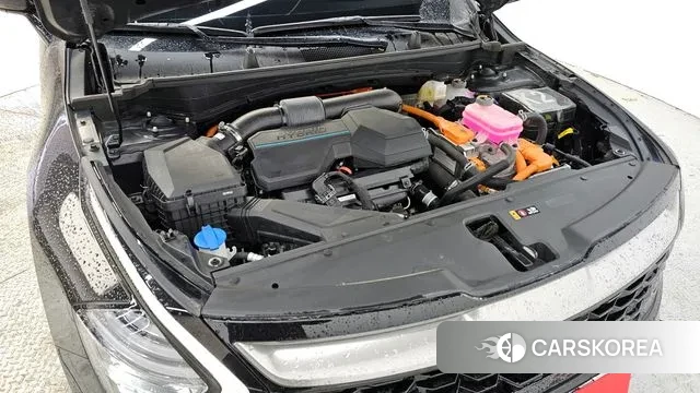 Kia Sportage 5th Generation Hybrid id 3680178 из Кореи 16