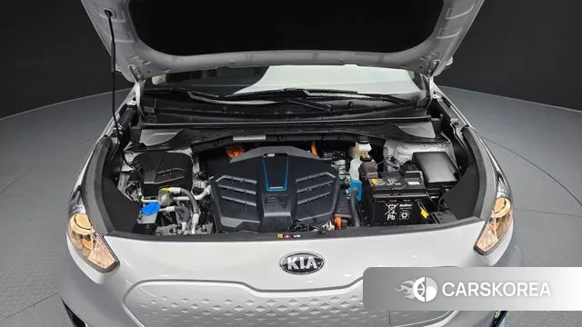 Kia Niro EV id 3717527 из Кореи 16