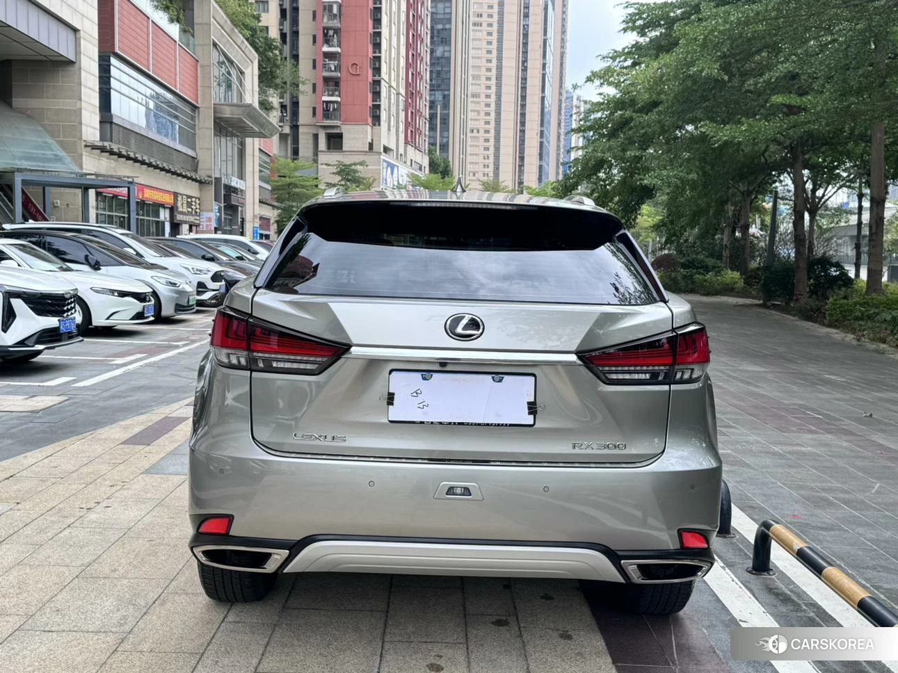 Lexus RX id 4454516 из Китая 10