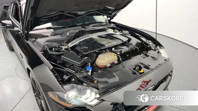 Ford Mustang id 3033188 из Кореи 16