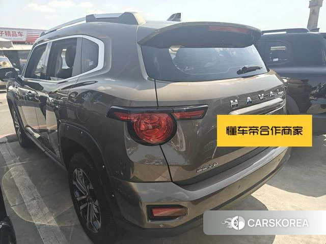 Haval Big Dog PLUS 2024 Шампань из Китая, фото 6