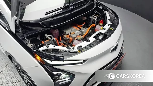 Chevrolet (GM Daewoo) New Bolt EV id 3596908 из Кореи 16