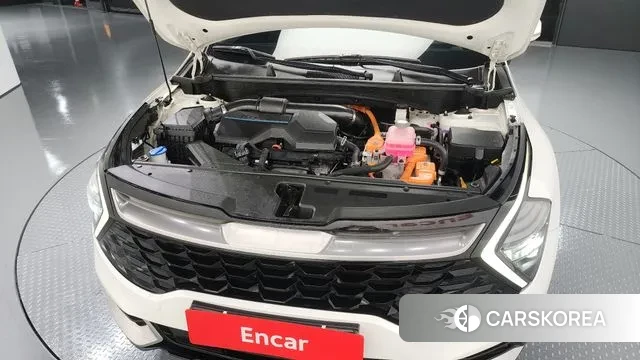 Kia Sportage 5th Generation Hybrid id 3416608 из Кореи 16