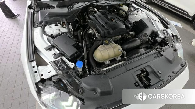 Ford Mustang id 3793541 из Кореи 16