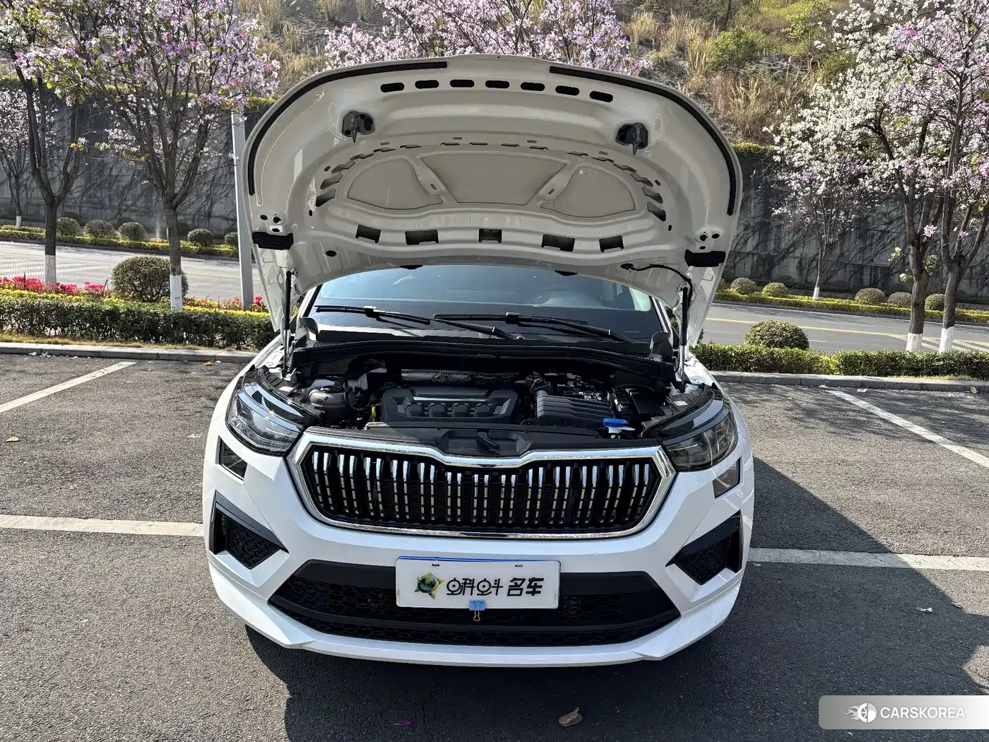 Skoda Kodiak id 4545945 из Китая 12