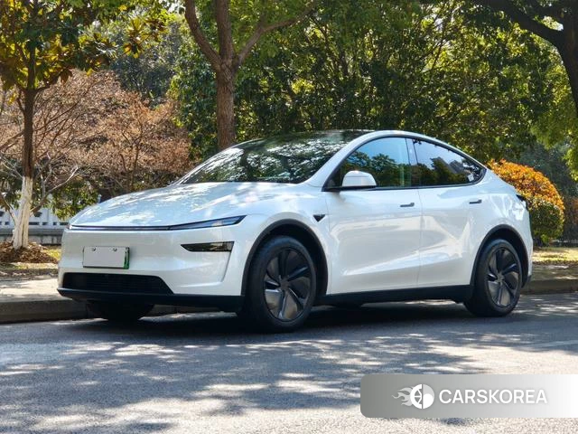 Tesla Model Y id 3920742 из Китая 13