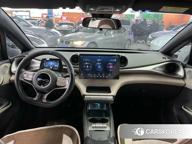 BYD dolphin id 4208734 из Китая 11