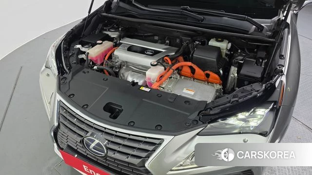 Lexus NX300h id 3873072 из Кореи 16