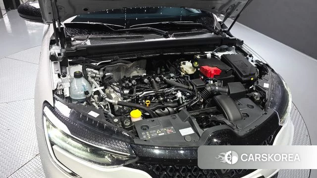 Renault Korea (Samsung) Arcana id 4719703 из Кореи 16