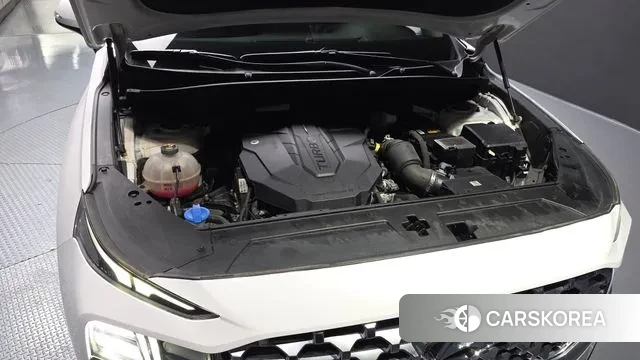 Hyundai The New Santa Fe id 3727604 из Кореи 16