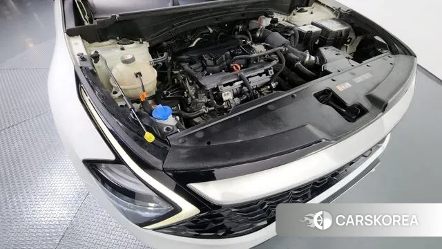 Kia Sportage 5th Generation id 3378527 из Кореи 16