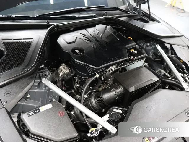 Genesis G80 (RG3) id 3054884 из Кореи 16