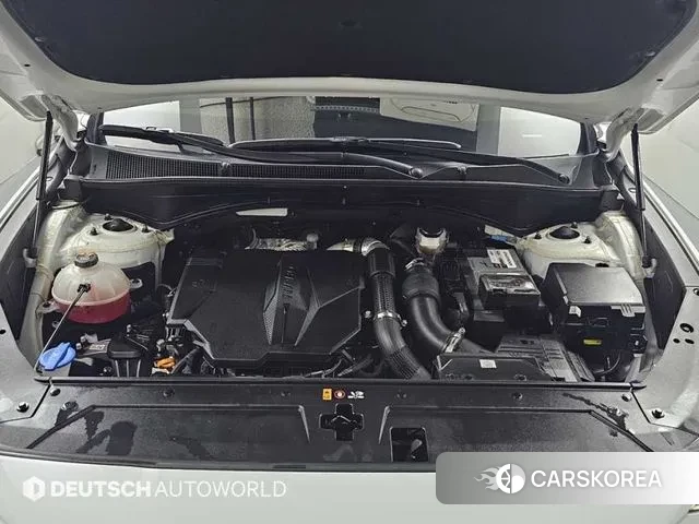 Hyundai The New Santa Fe id 3616348 из Кореи 16