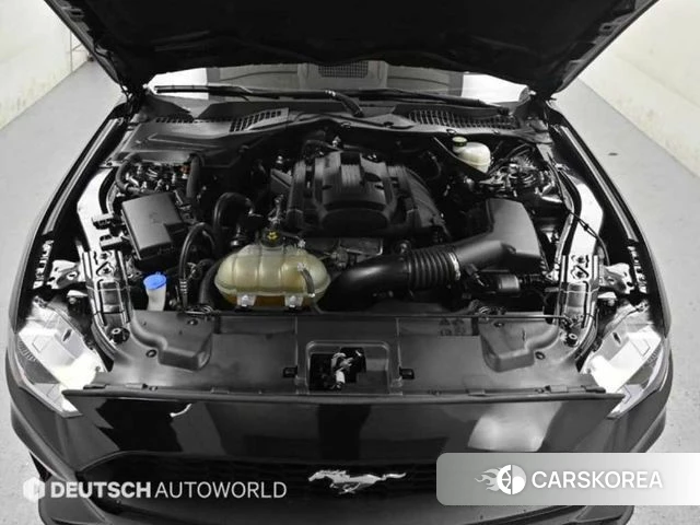 Ford Mustang id 3859392 из Кореи 15